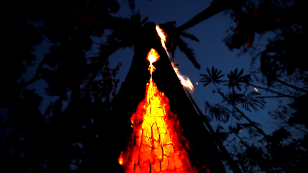 A burning tree is seen during a fire in an area of the Amazon rainforest in Itapua do Oeste, Rondonia State, Brazil, September 11, 2019. Picture taken September 11, 2019