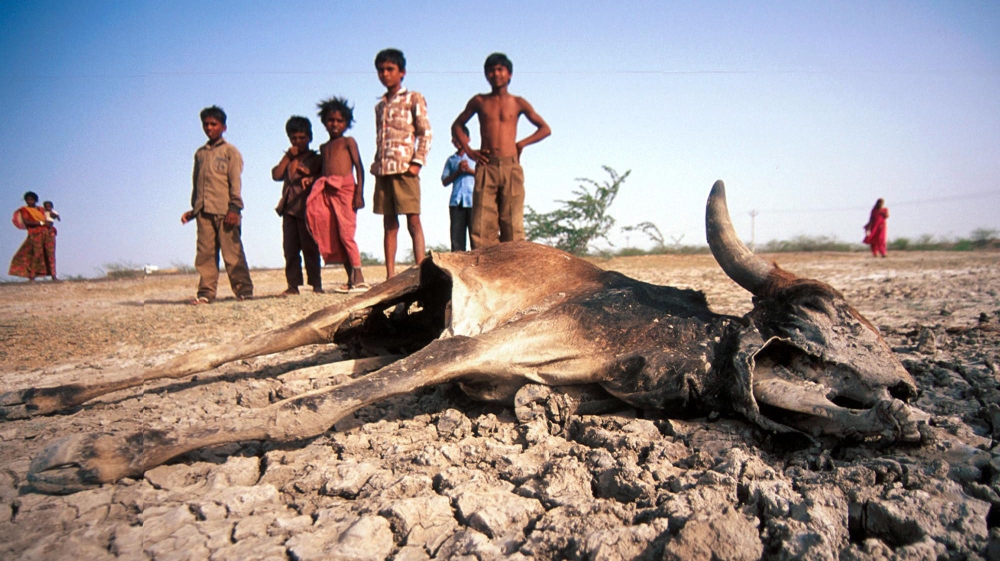 India drought Rajasthan BB