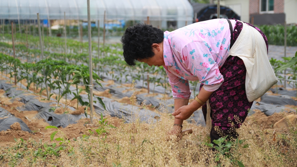 Meet the grandma's saving South Korea's schools - Don't use