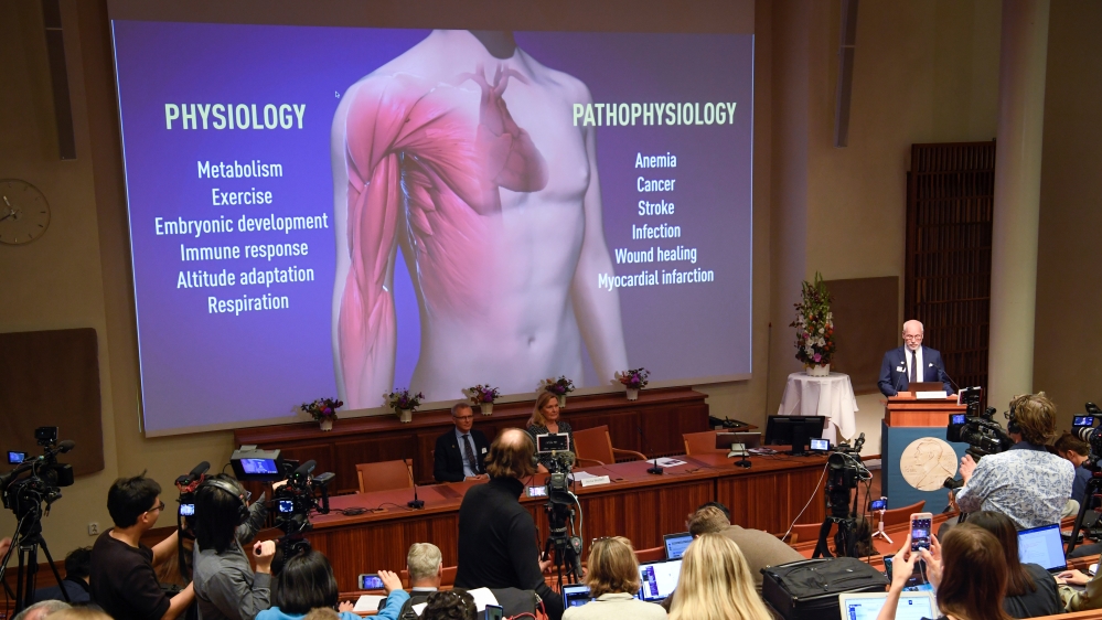 Professor Randall Johnson of the Nobel Commitee presents the Nobel laureates of this year''s Nobel Prize in Medicine during a news conference in Stockholm
