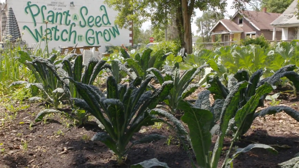 Motown to Grotown - REWIND - DO NOT USE