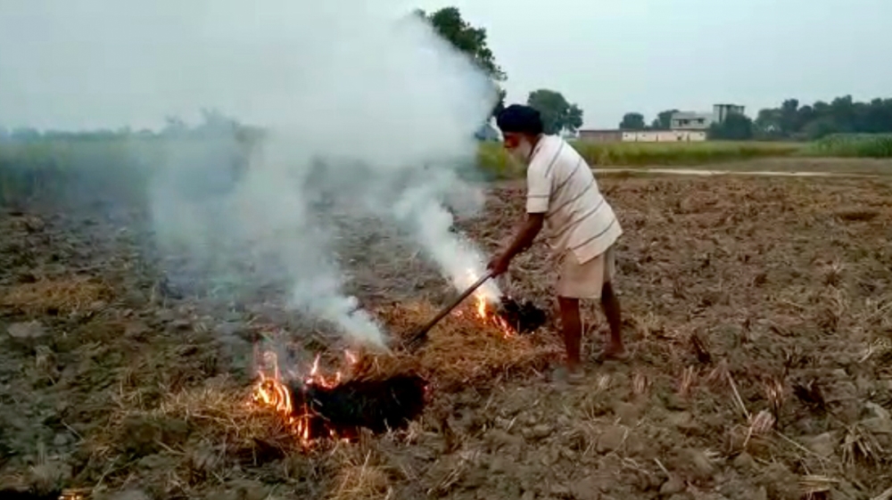 farmer burning paddy stubble in a field in Amritsar, India, Wednesday, Oct. 16, 2019. The Indian capital's air quality levels have plunged to 