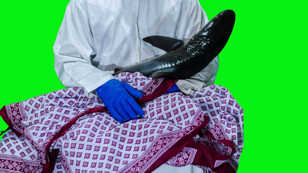 Kelvin Haizel - BASICII6 IUB