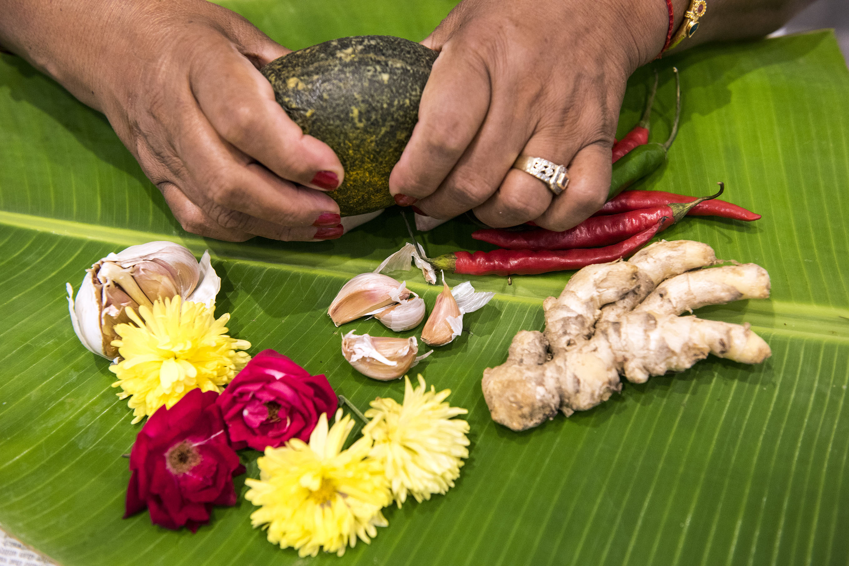 Fork The System - by Ishay Govender-Ypma DON'T USE] [Photo courtesy: Ishay Govender-Ypma]