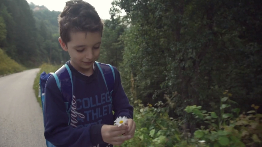 Education - AJ Selects - DO NOT USE