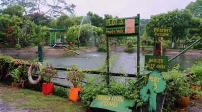 Bollywood Veggies 2 Nyshka Chandran