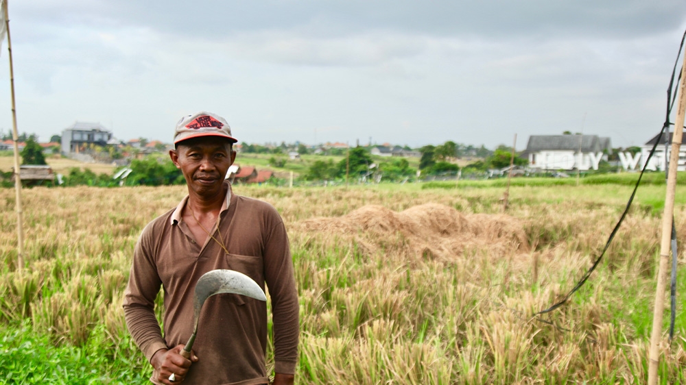 Indonesia Bali Canggu