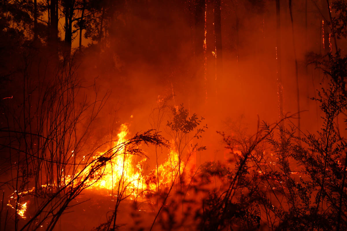 MALLACOOTA, AUSTRALIA - JANUARY 02: Bushfires burn between the townships of Bemm River and Cann River in eastern Gippsland on January 02, 2020, Australia. The HMAS Choules docked outside of Mallacoota