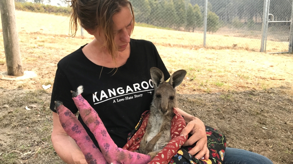 Bushfires - Australia