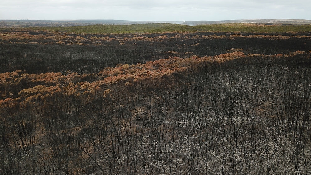 Australia: Flash floods and bushfires