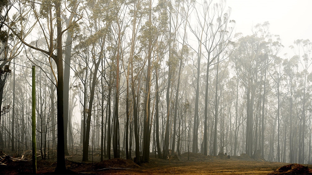 Australia fires