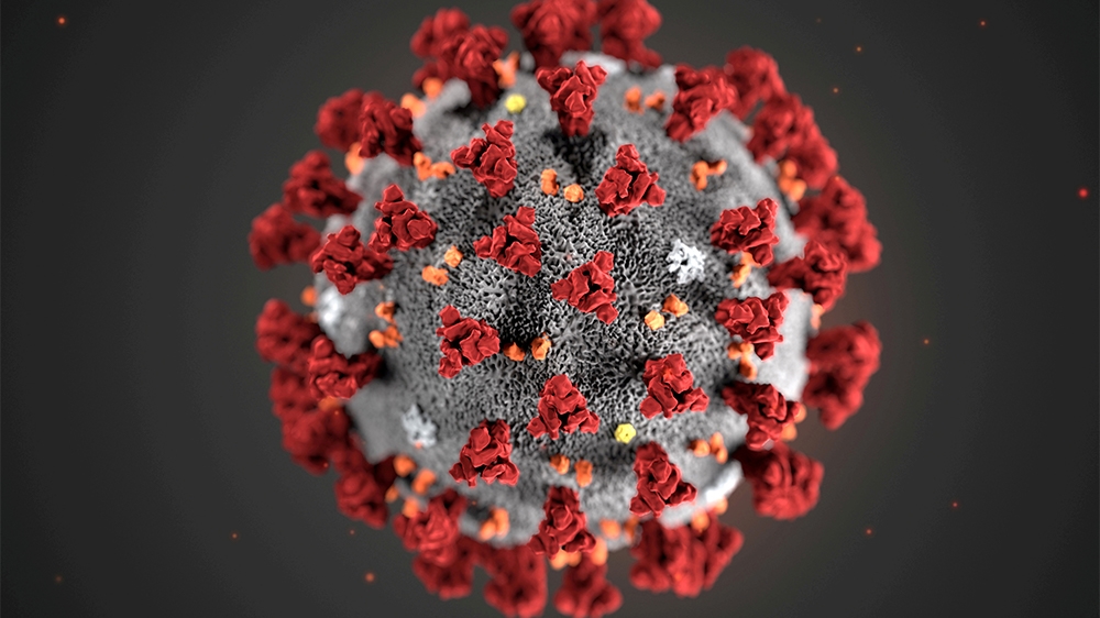 FILE PHOTO: The ultrastructural morphology exhibited by the 2019 Novel Coronavirus (2019-nCoV), which was identified as the cause of an outbreak of respiratory illness first detected in Wuhan, China,