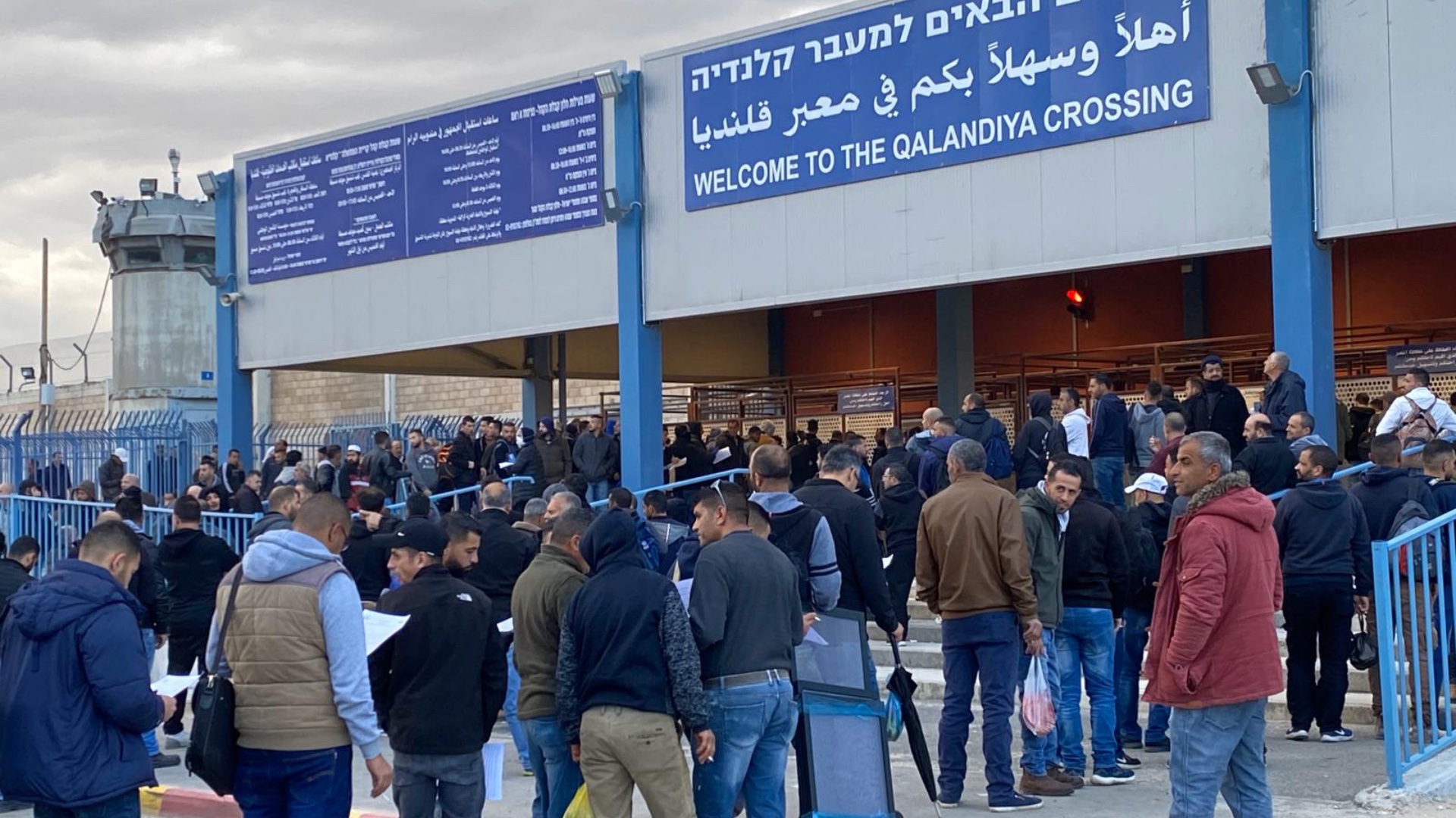 Alex Lederman coronavirus Palestine [Alex Lederman]