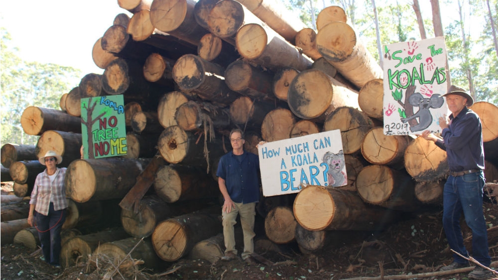Australia logging
