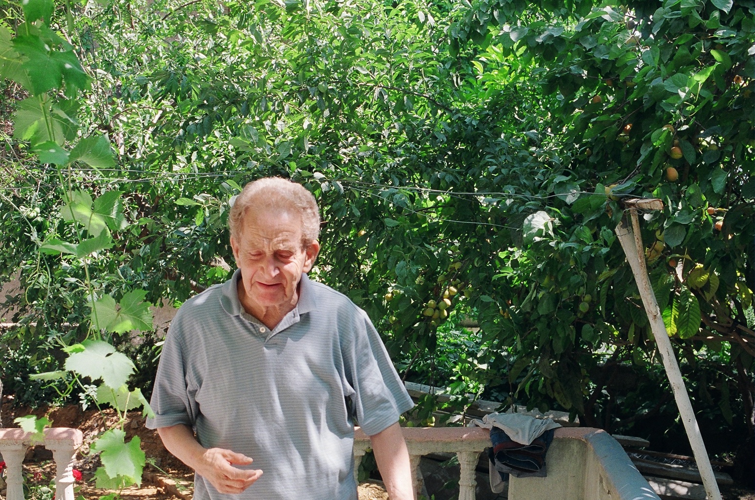 Memories of Algeria/Nora Belblidia 