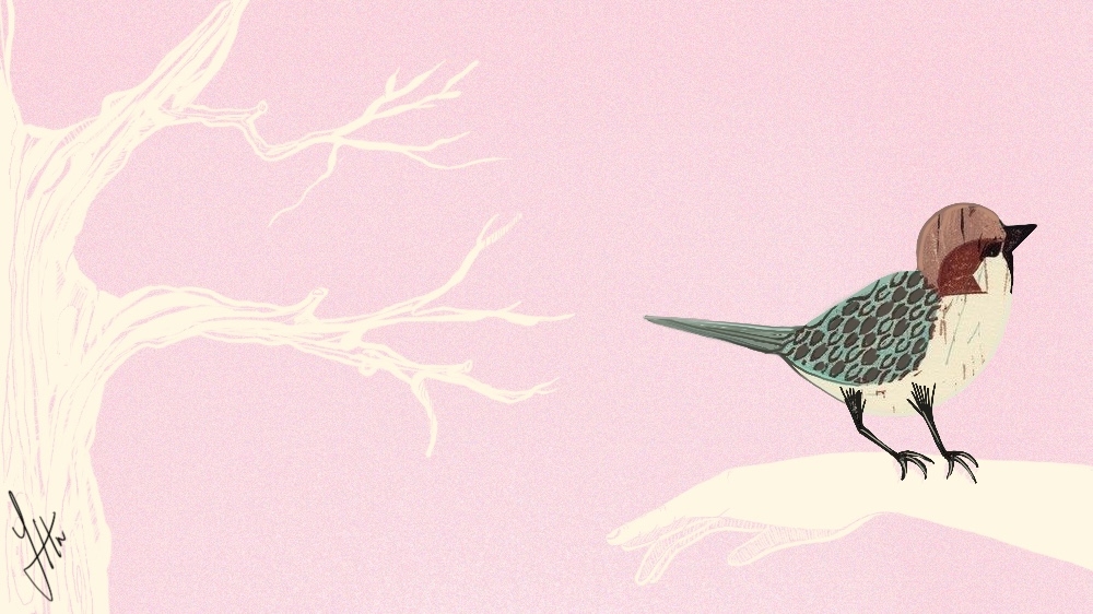 My mother the sparrow - illustrations