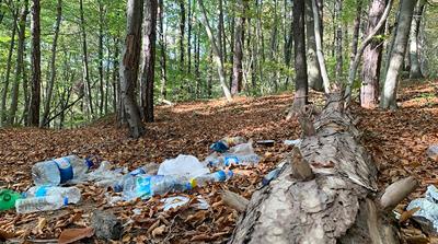 [Britt Clennett/Al Jazeera]