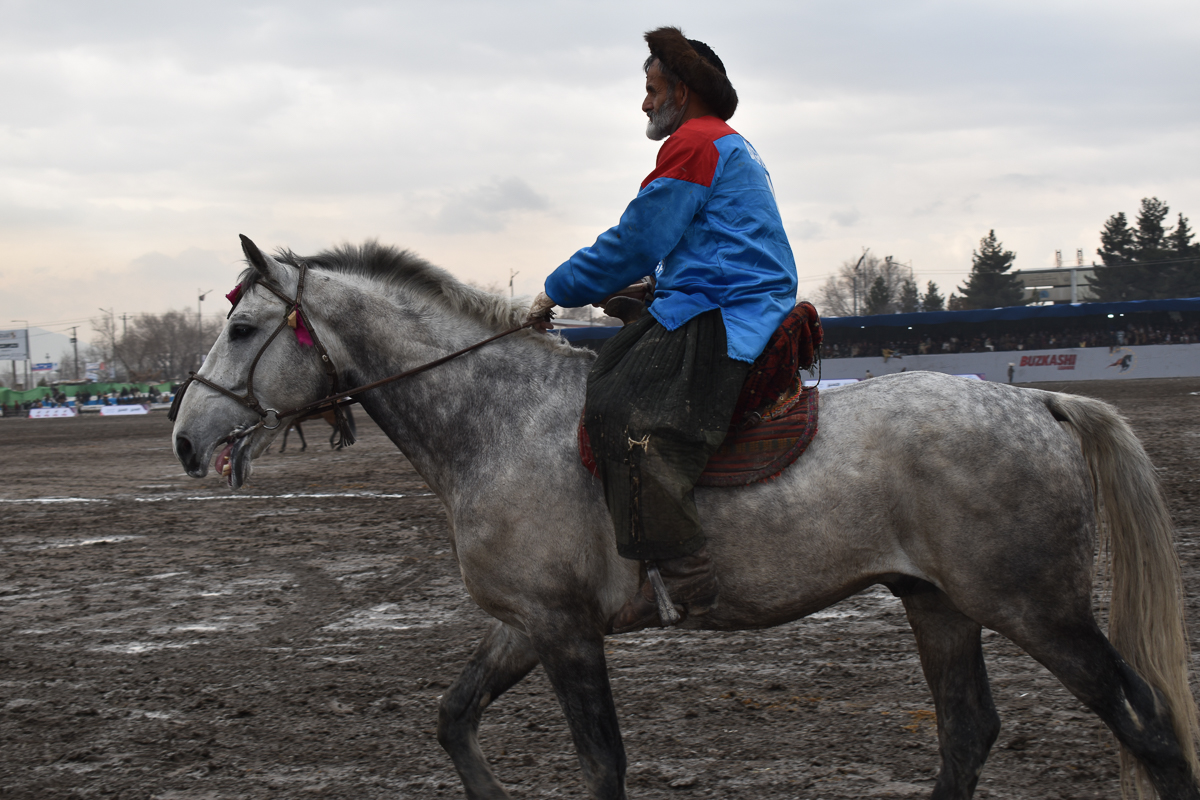 A player from Baghlan province prepares the horse ahead of a game on the second day of the Buzkashi league, on Thursday. Photo by Hikmat Noori.