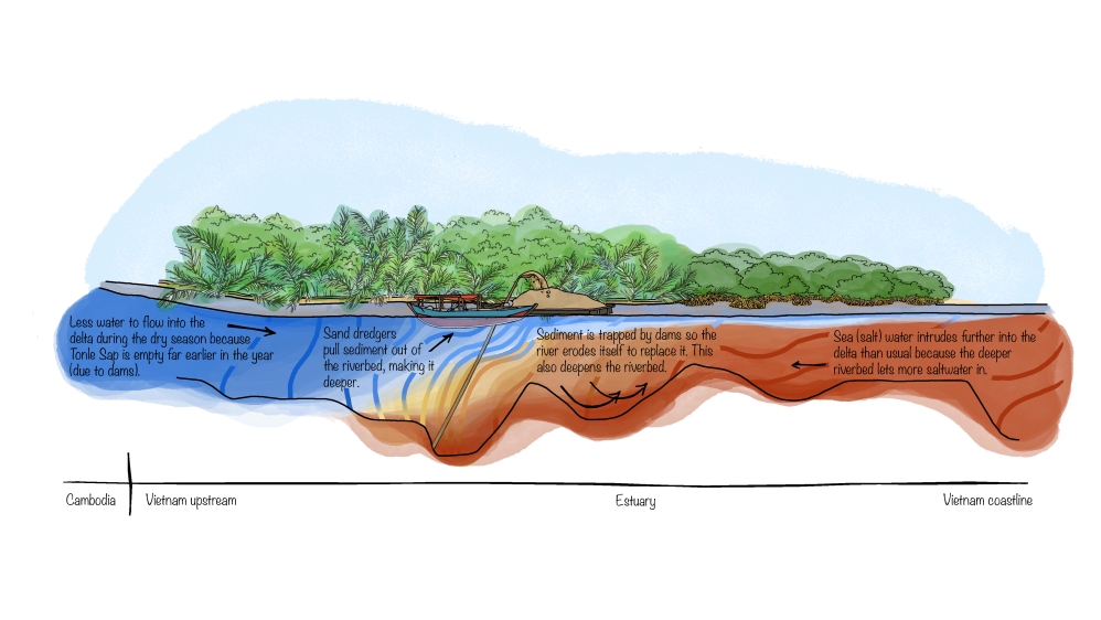 Illustration - Vietnam Mekong Delta [Zoe Osborne/Al Jazeera]