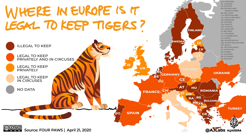 Green Read - infographic - tigers in Europe