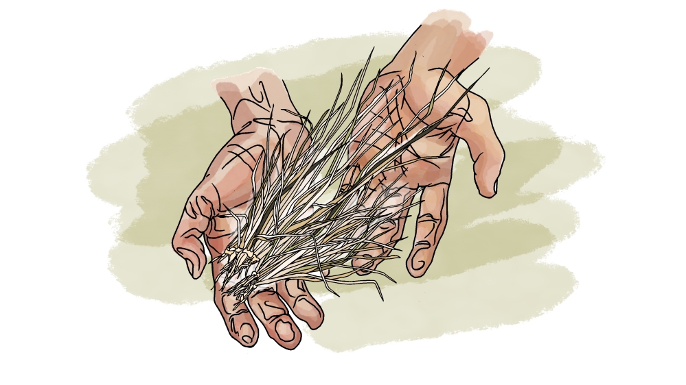 Illustration - Vietnam Mekong Delta [Zoe Osborne/Al Jazeera]