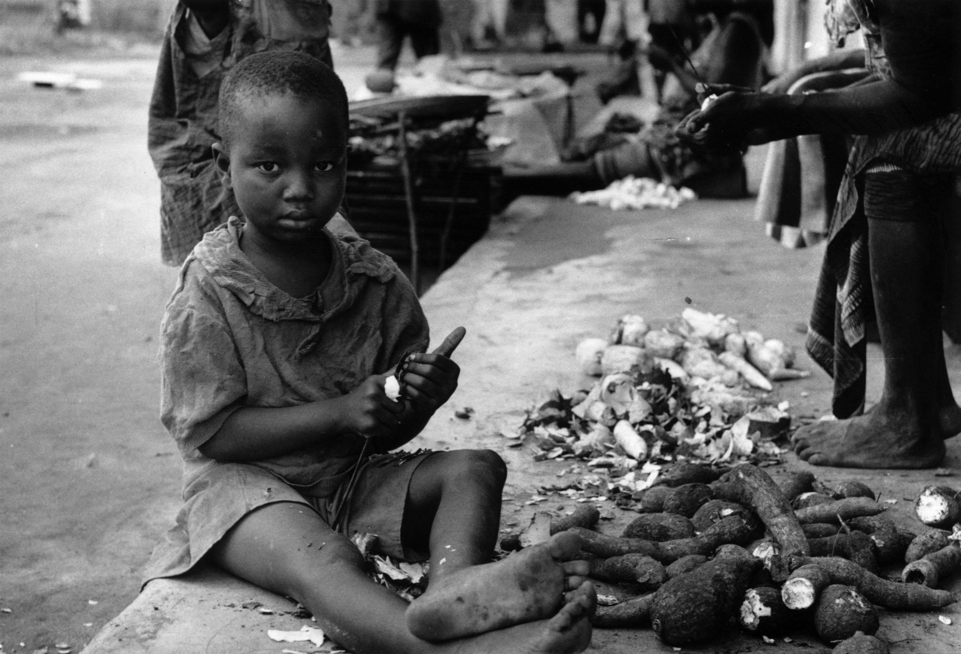 Biafra opinion piece