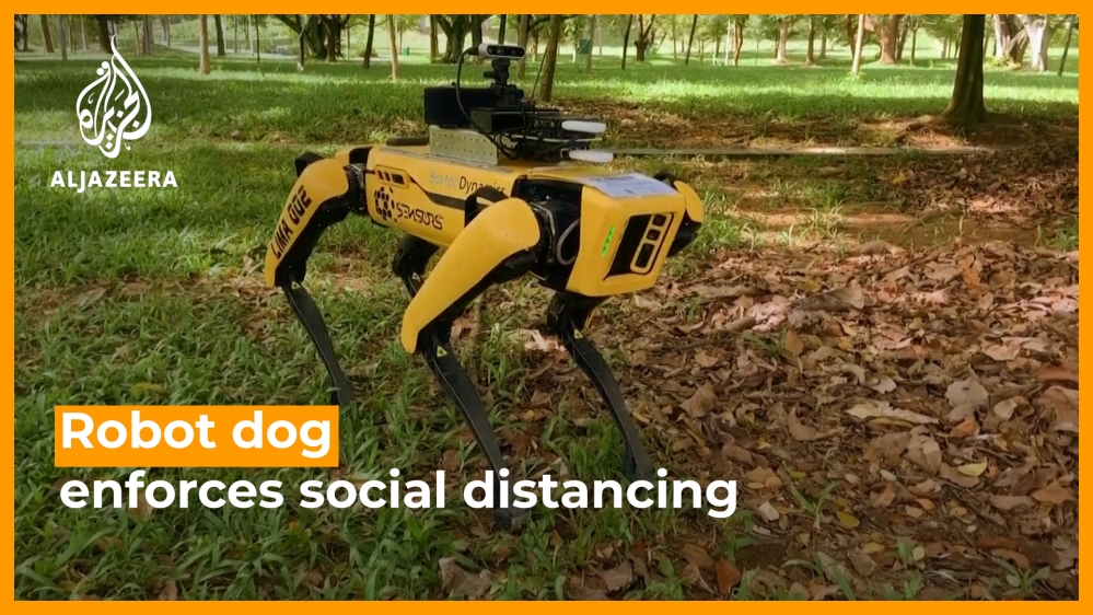 Robot dog enforces social distancing rules