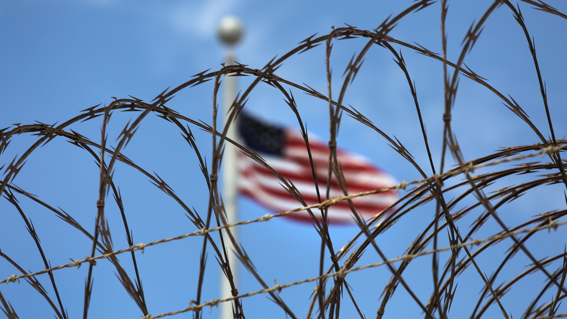 Alex Lederman Guantanamo