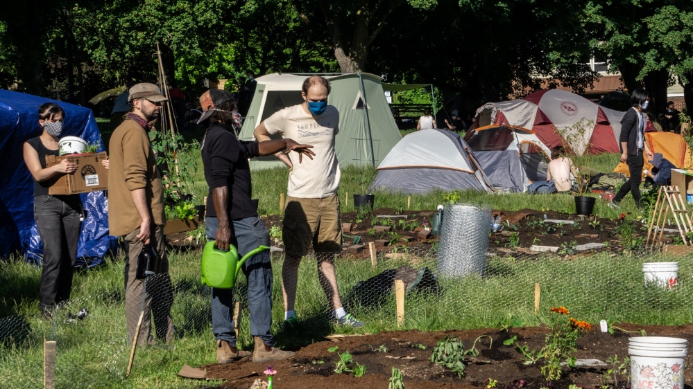 CHAZ Community Garden 