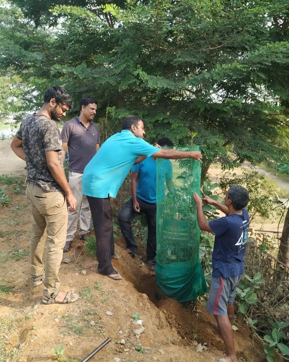Volunteers have so far planted about 200 saplings of about 50 native tree species on the Chitlapakkam lakeside [Photo courtesy of Shobha Menon]