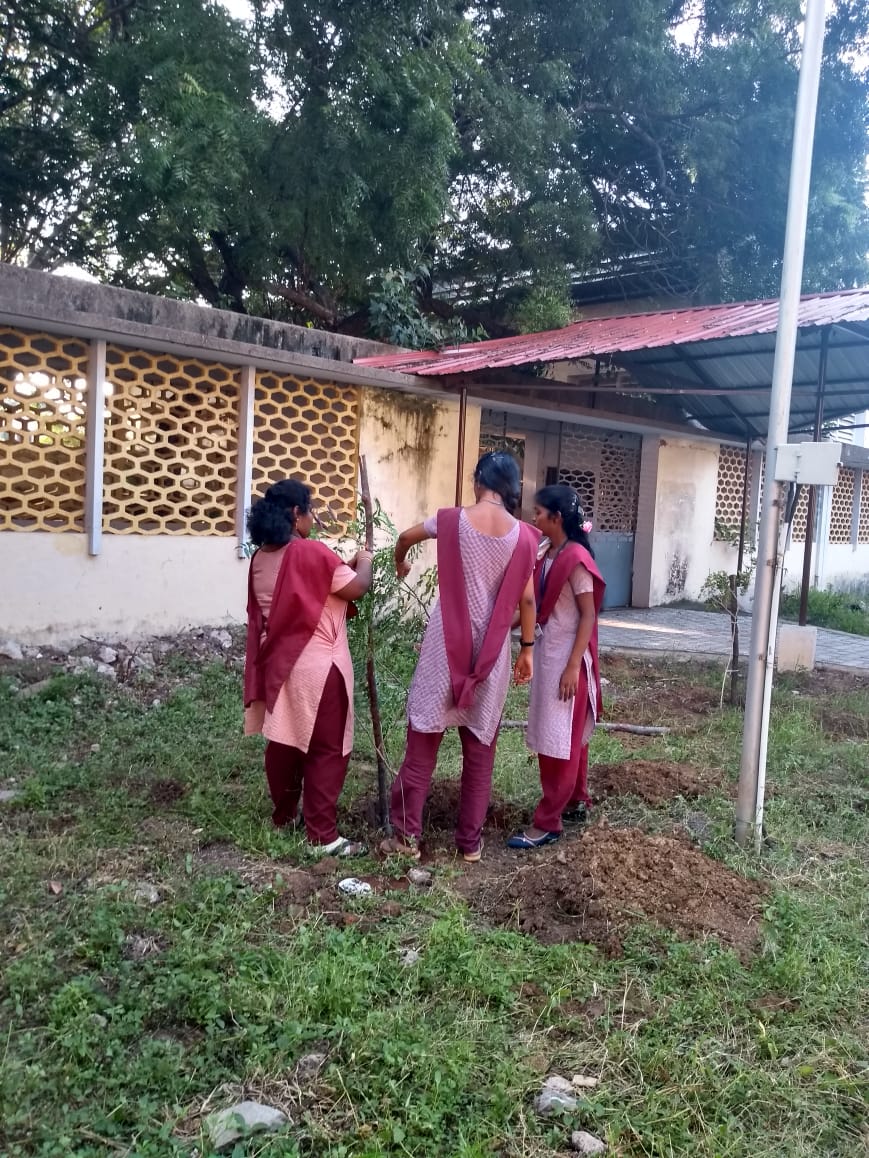Planting at the Institute of Textile Technology [Photo courtesy of Shobha Menon]