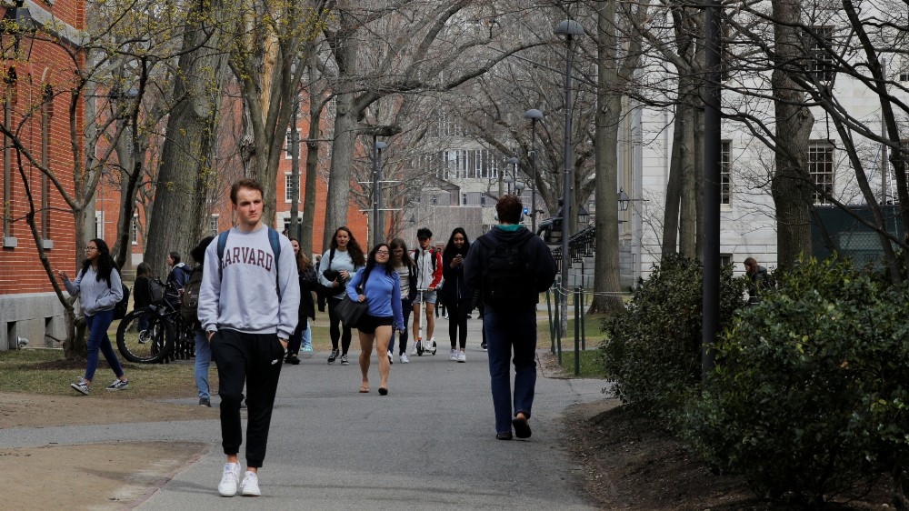 Harvard Students 
