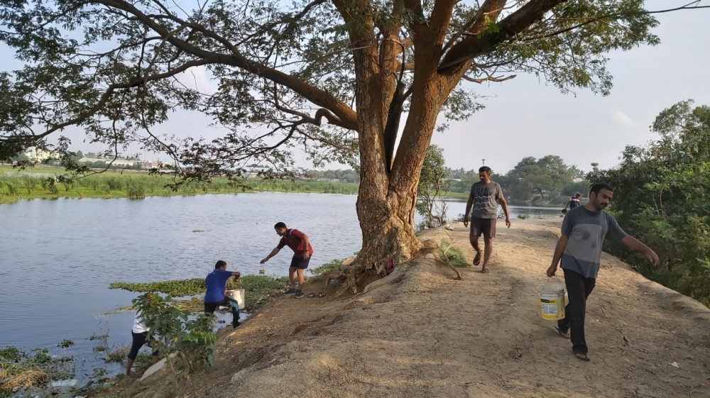 Volunteers have been working to restore greenery along Chitlapakkam Lake [Photo courtesy of Shobha Menon]