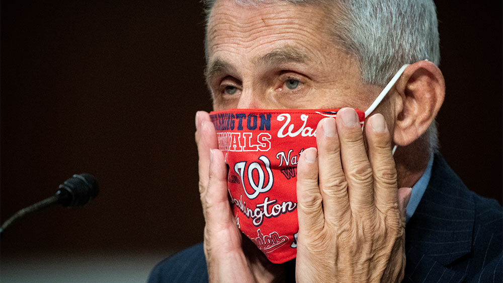Fauci Washington Nationals mask