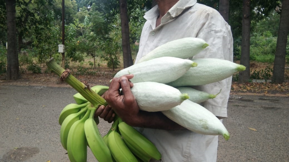 A man carries fruit at the Institute of Mental Health [Photo courtesy of Shobha Menon]