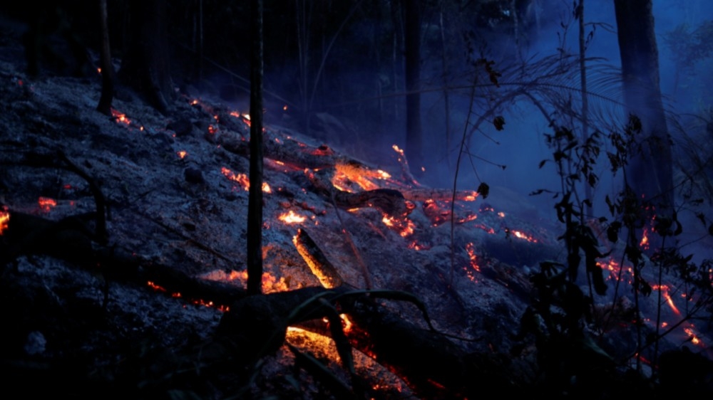 Brazil Amazon rainforest wildfire