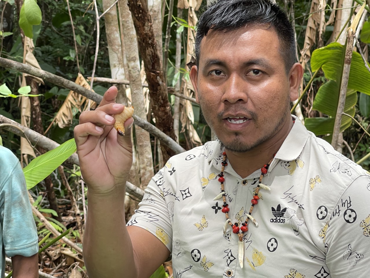 Chief Timothy Andrews holds a freshly harvested tacoma worm in the community of Pakuri, Guyana, on November 7, 2021. Experts say insects could play an increasing role in our diets as the world’s population grows and carbon emissions from livestock rise [Chris Arsenault/Al Jazeera]