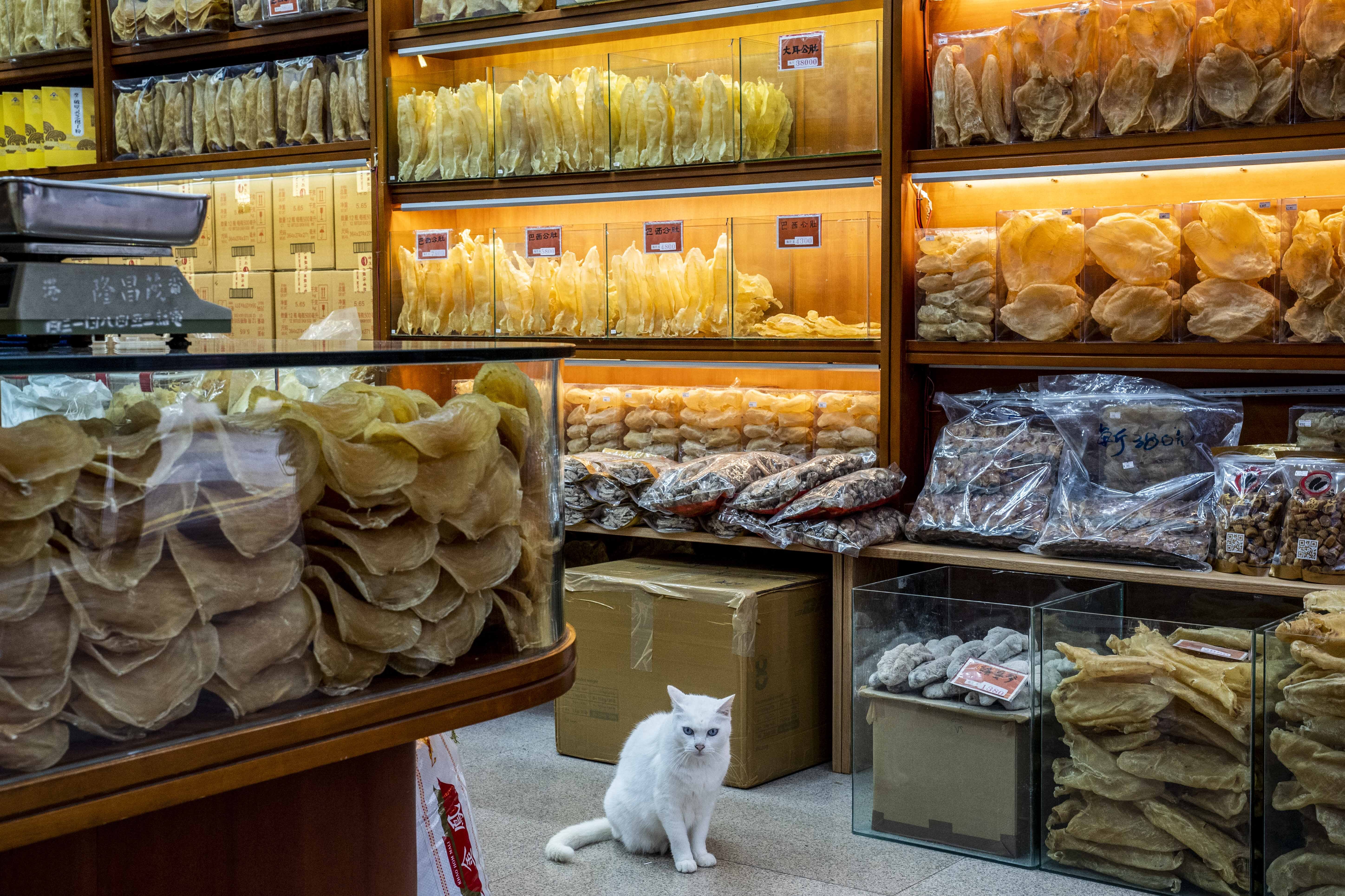 A shop in Hong Kong sells fish maw from Brazil