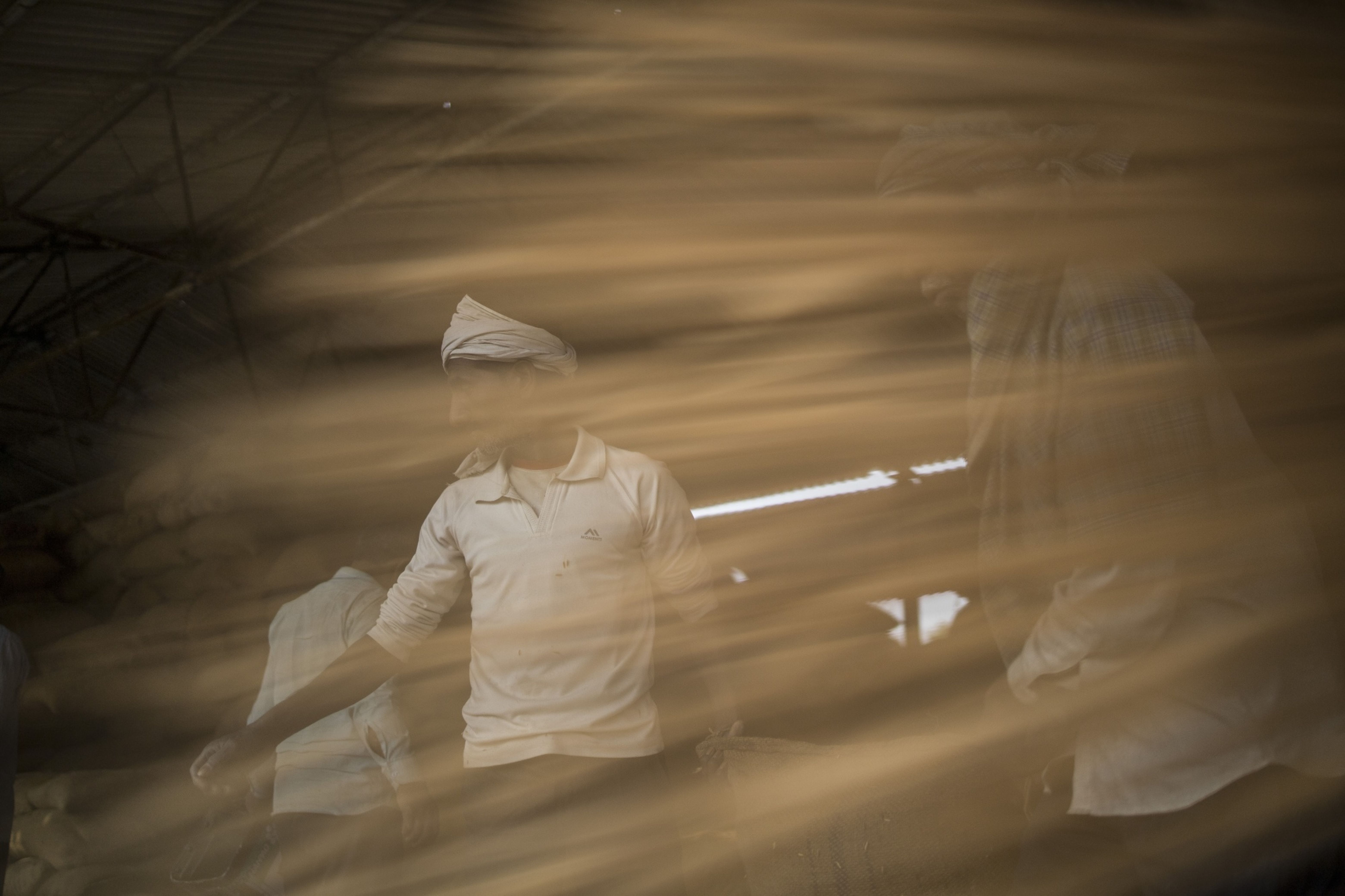Workers at a grain wholesale market in Uttar Pradesh, India