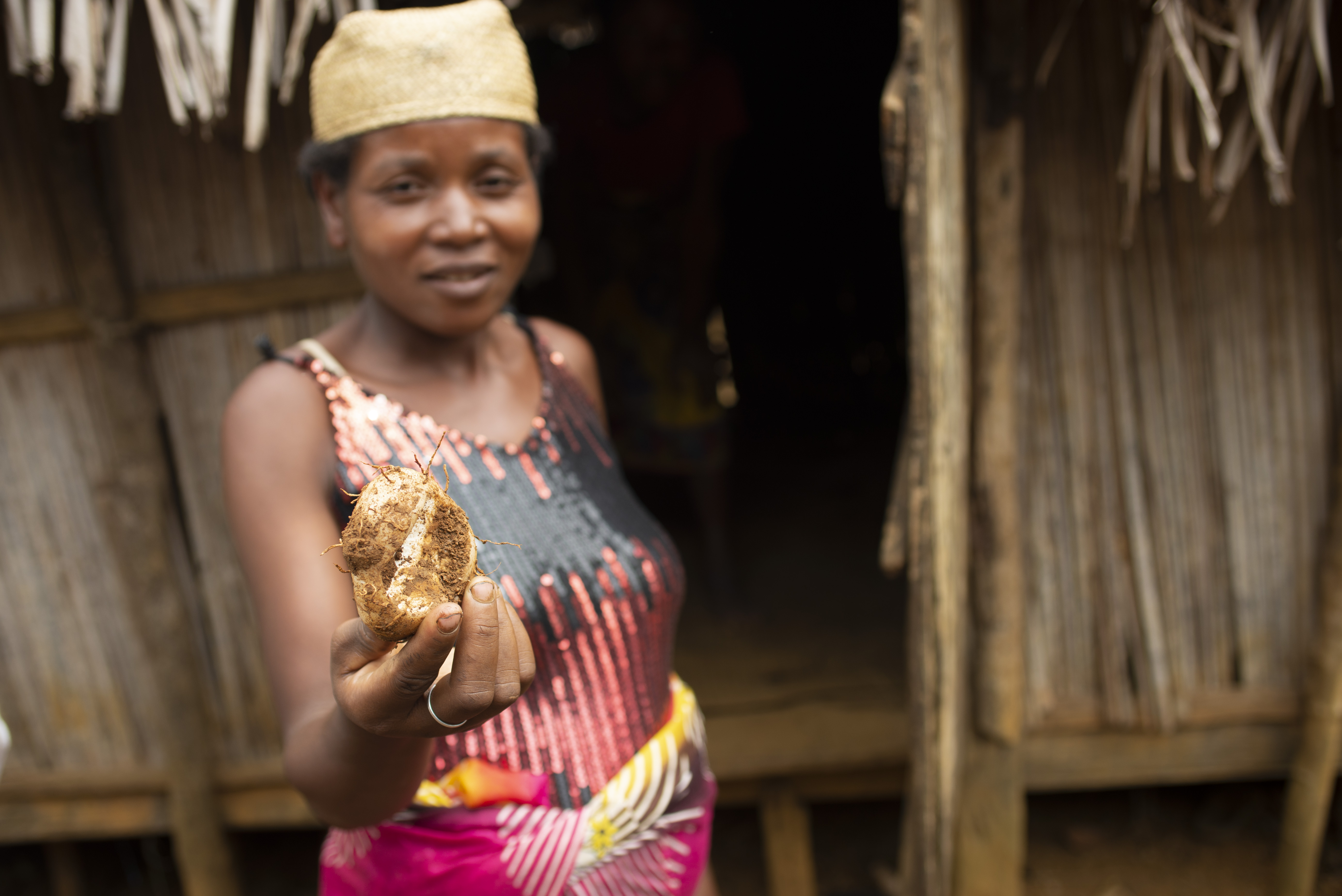Madagascar cyclone recovery