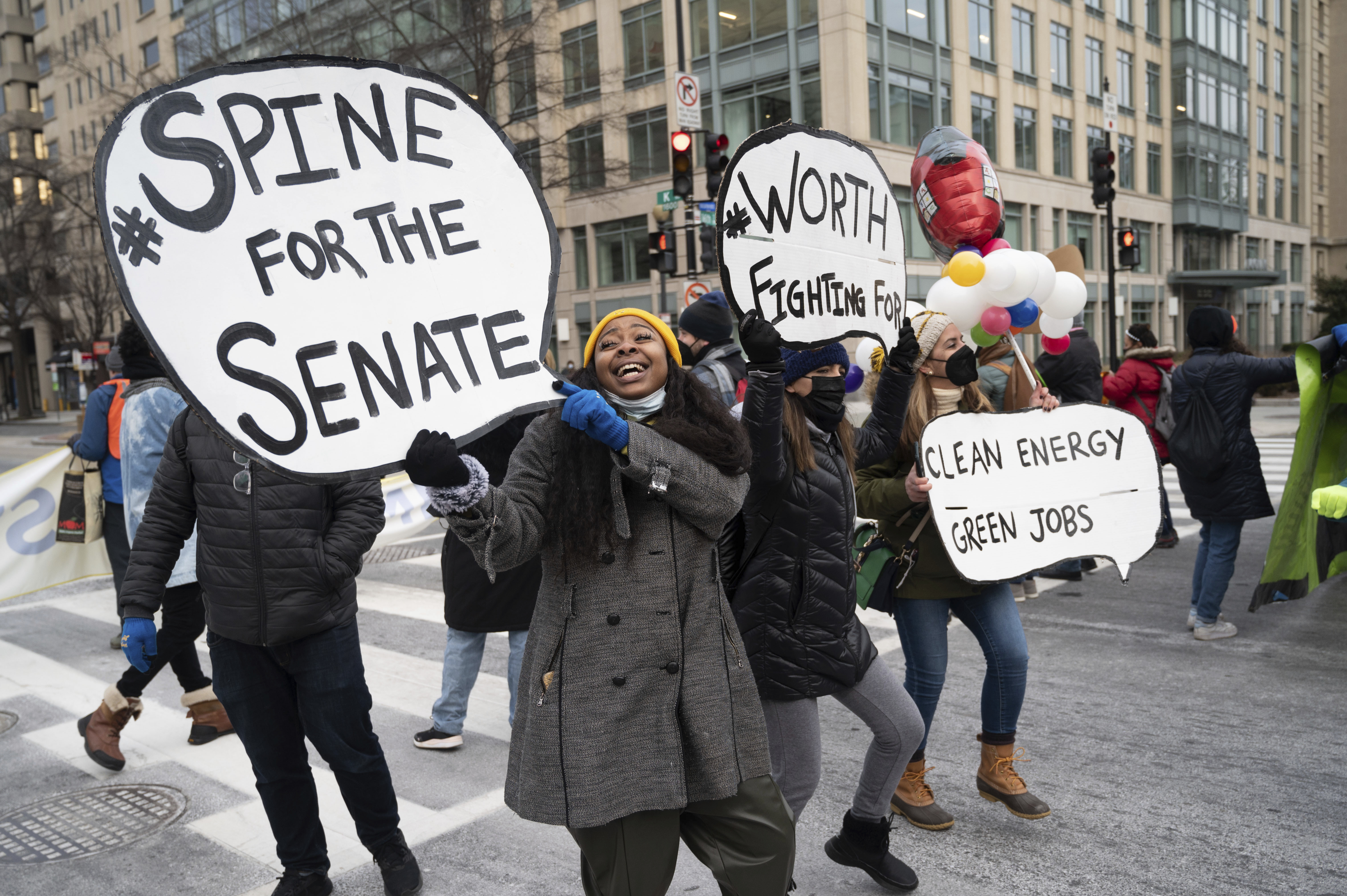 Climate activists in Washington DC