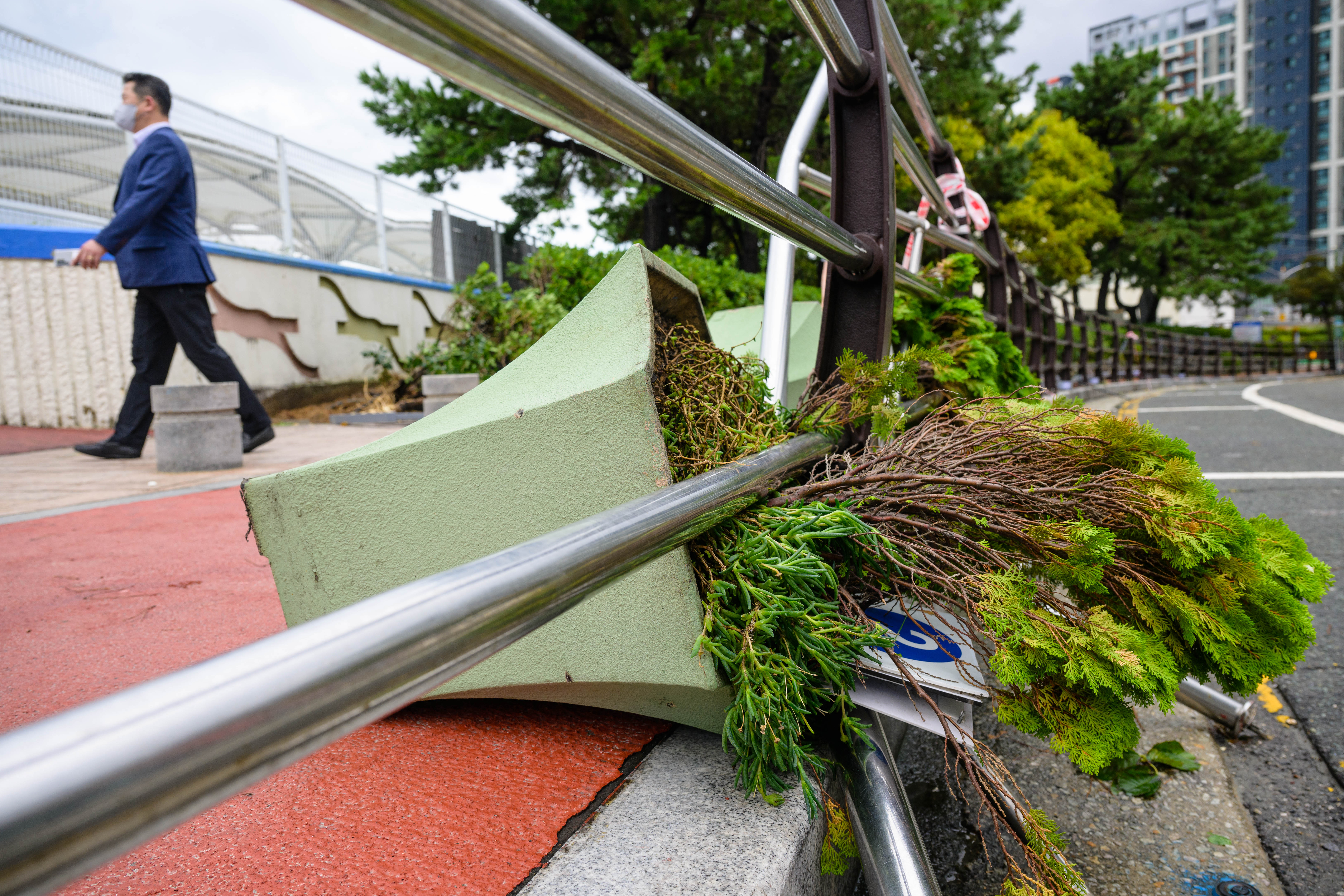 A man walks past a fallen potted tree