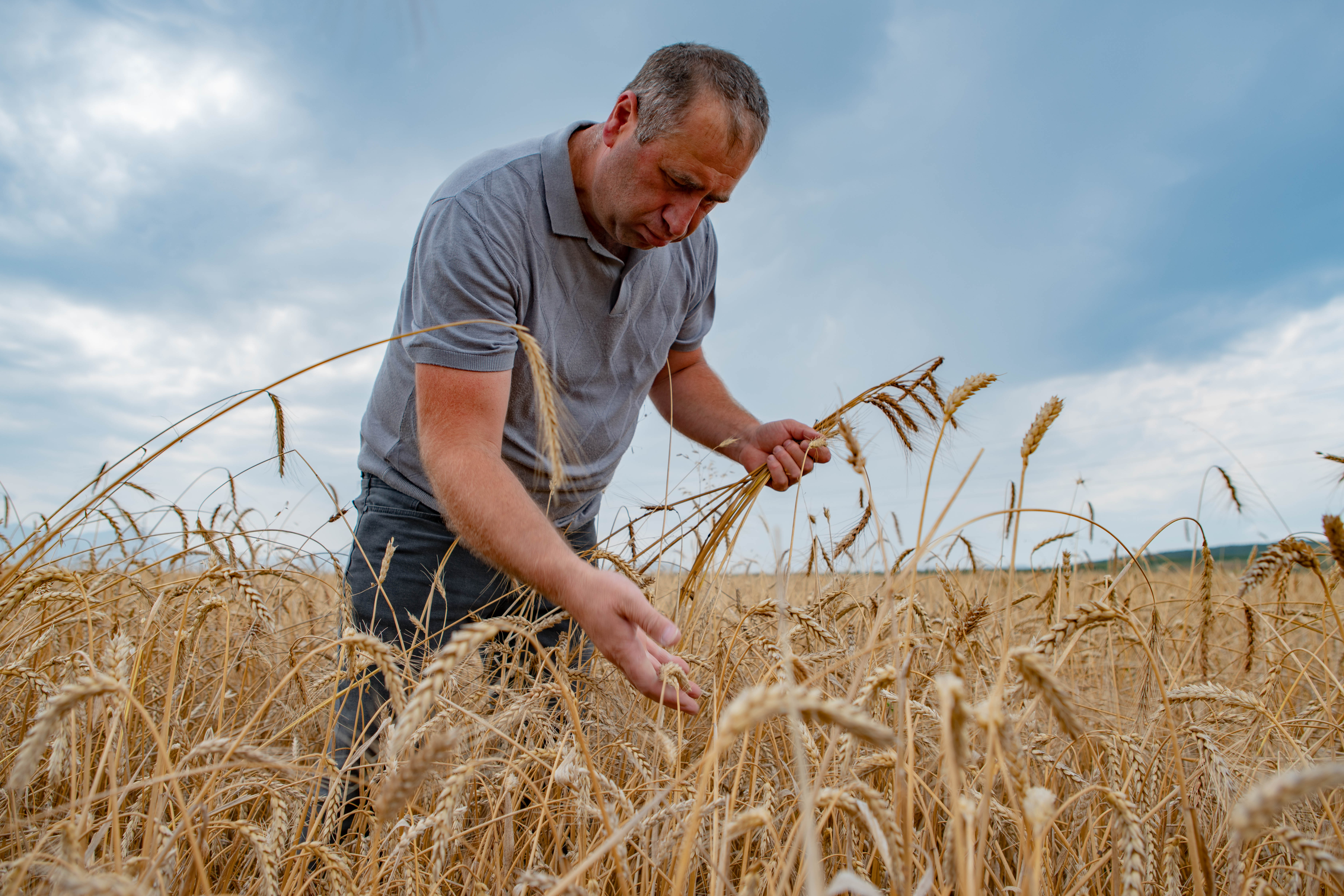 Georgia Farmers