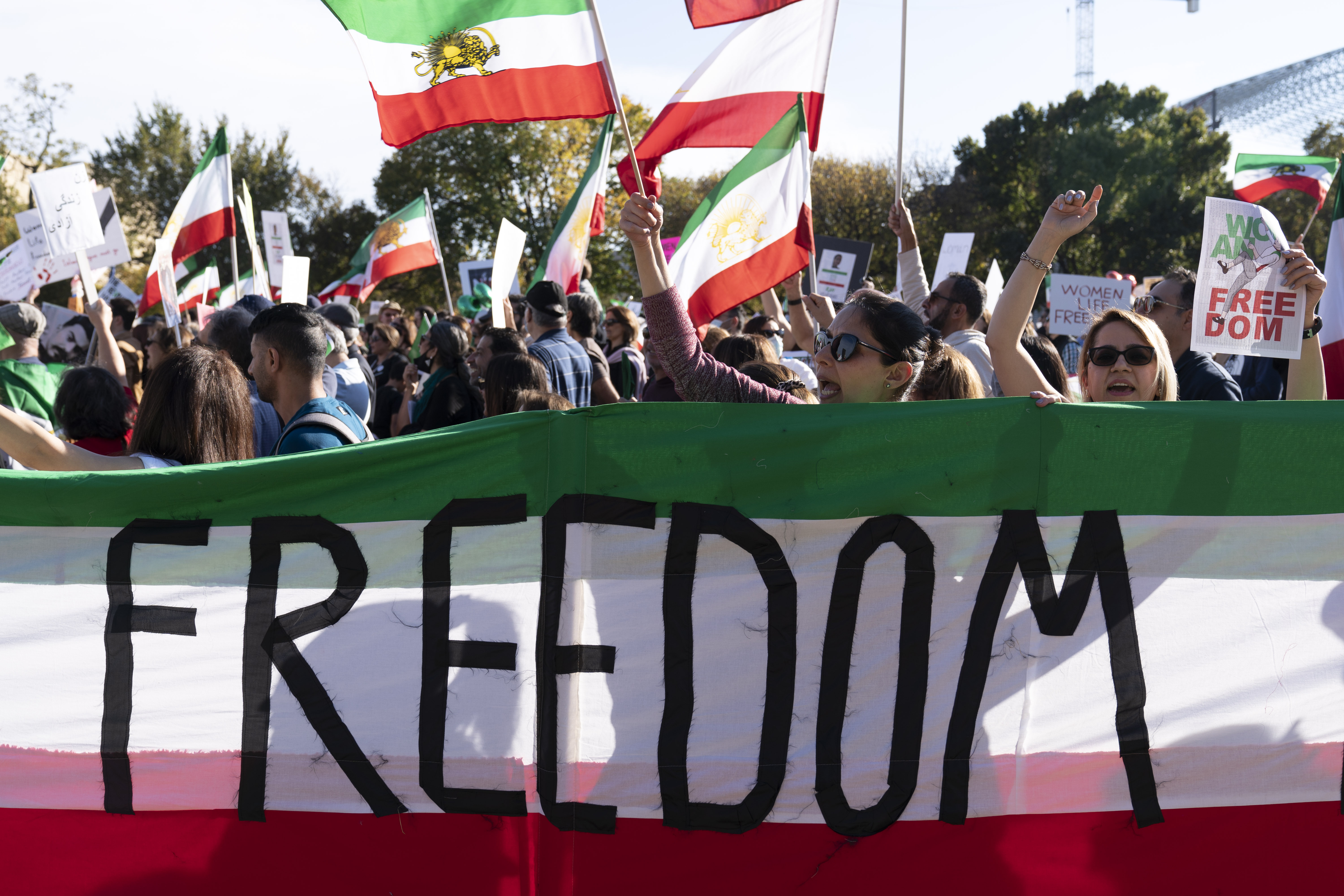 Demonstrators rally at the National Mall in DC.