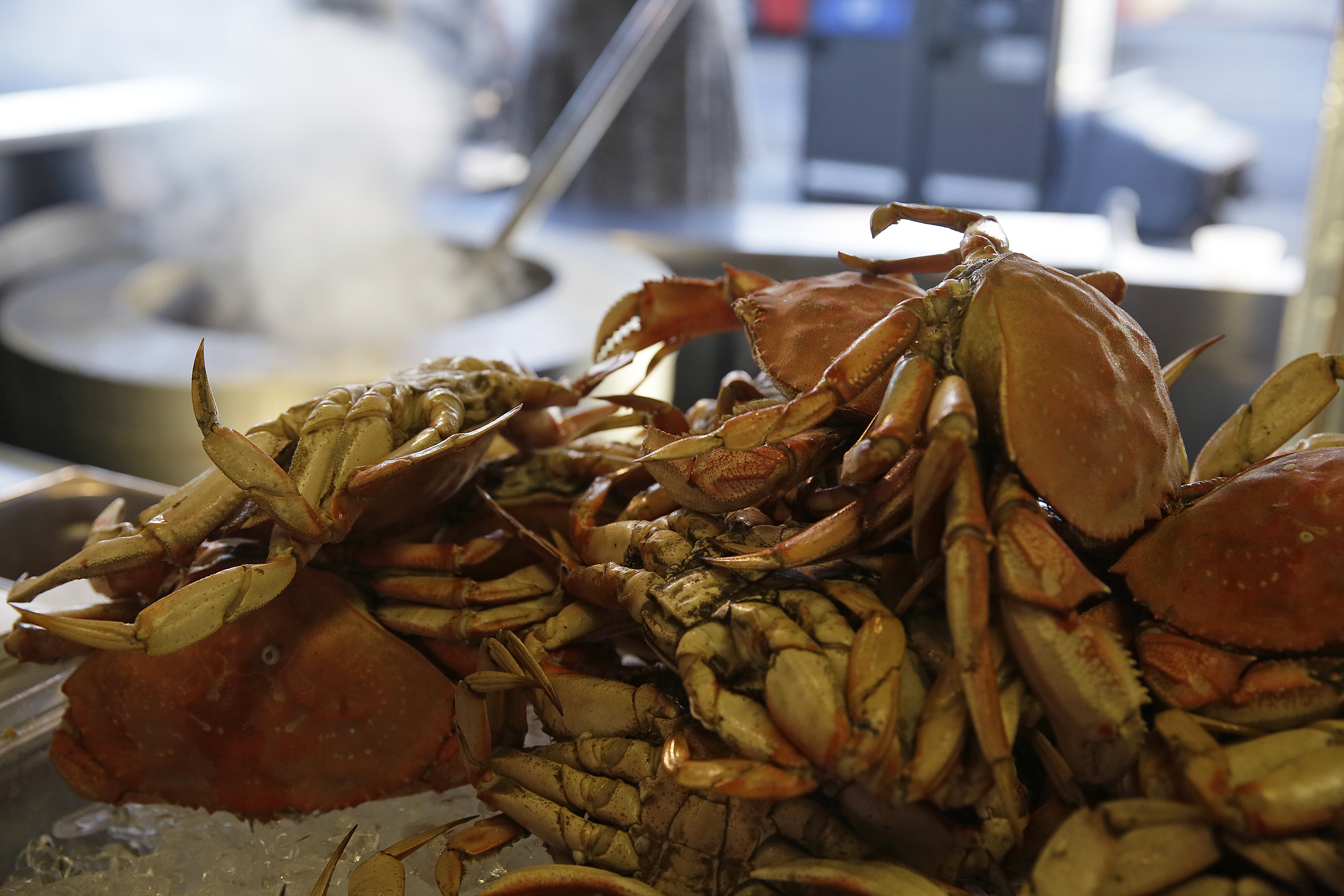In this photo taken Tuesday, Nov. 10, 2015, imported Dungeness crabs from the Northwest are shown for sale at Fisherman's Wharf in San Francisco