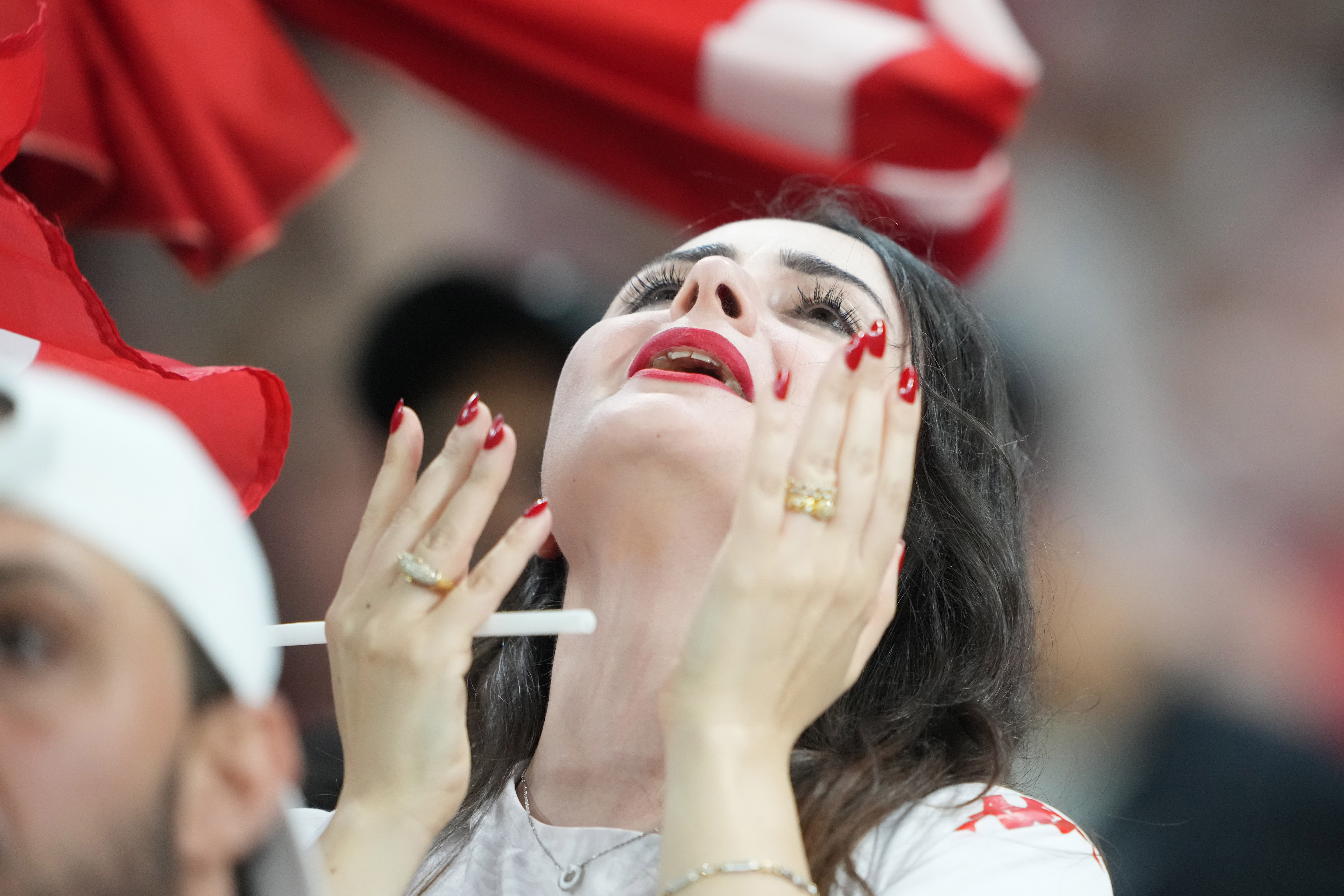 Tunisian fans
