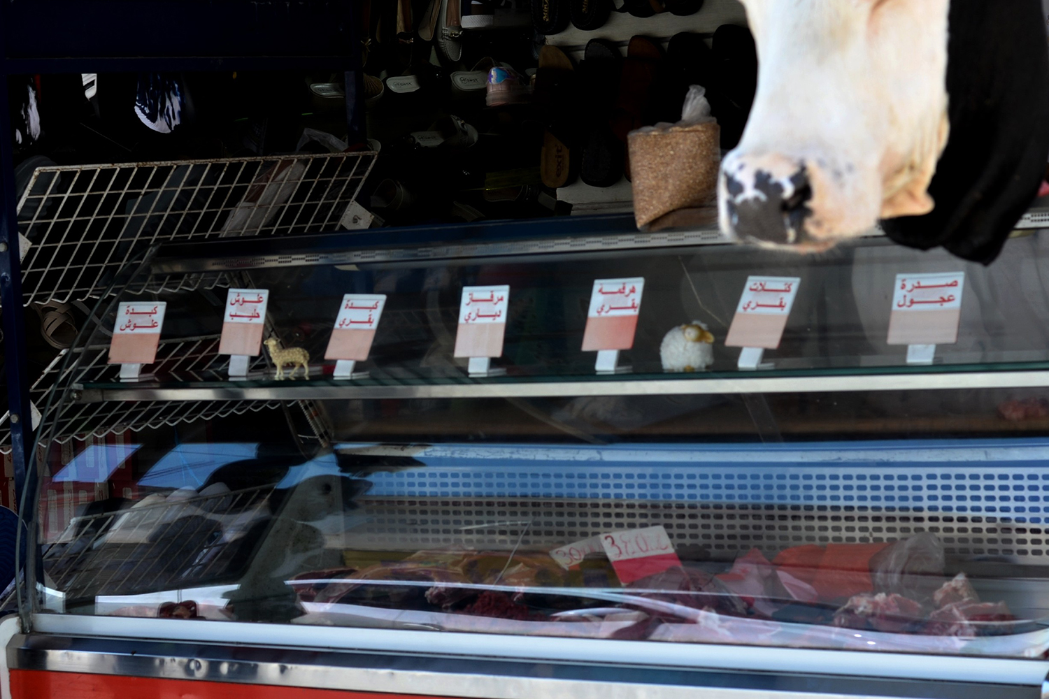 A butcher's counter showing beef and lamb cuts