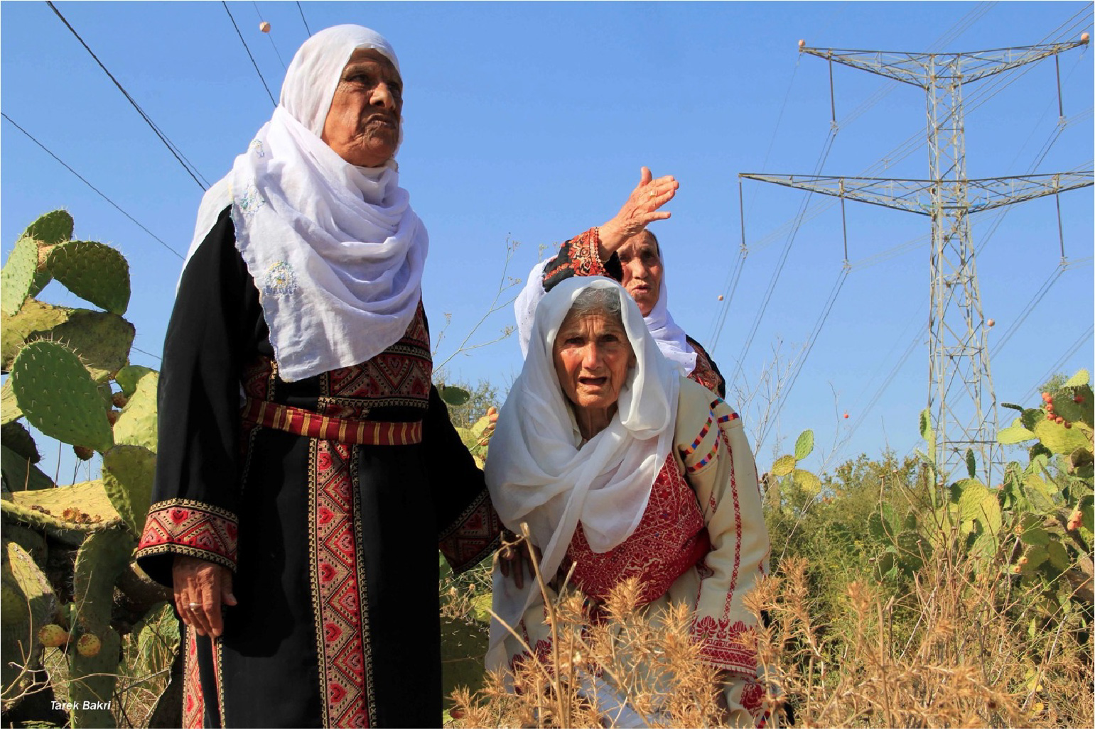 INTERACTIVE - NAKBA - Ladies return-1684046620