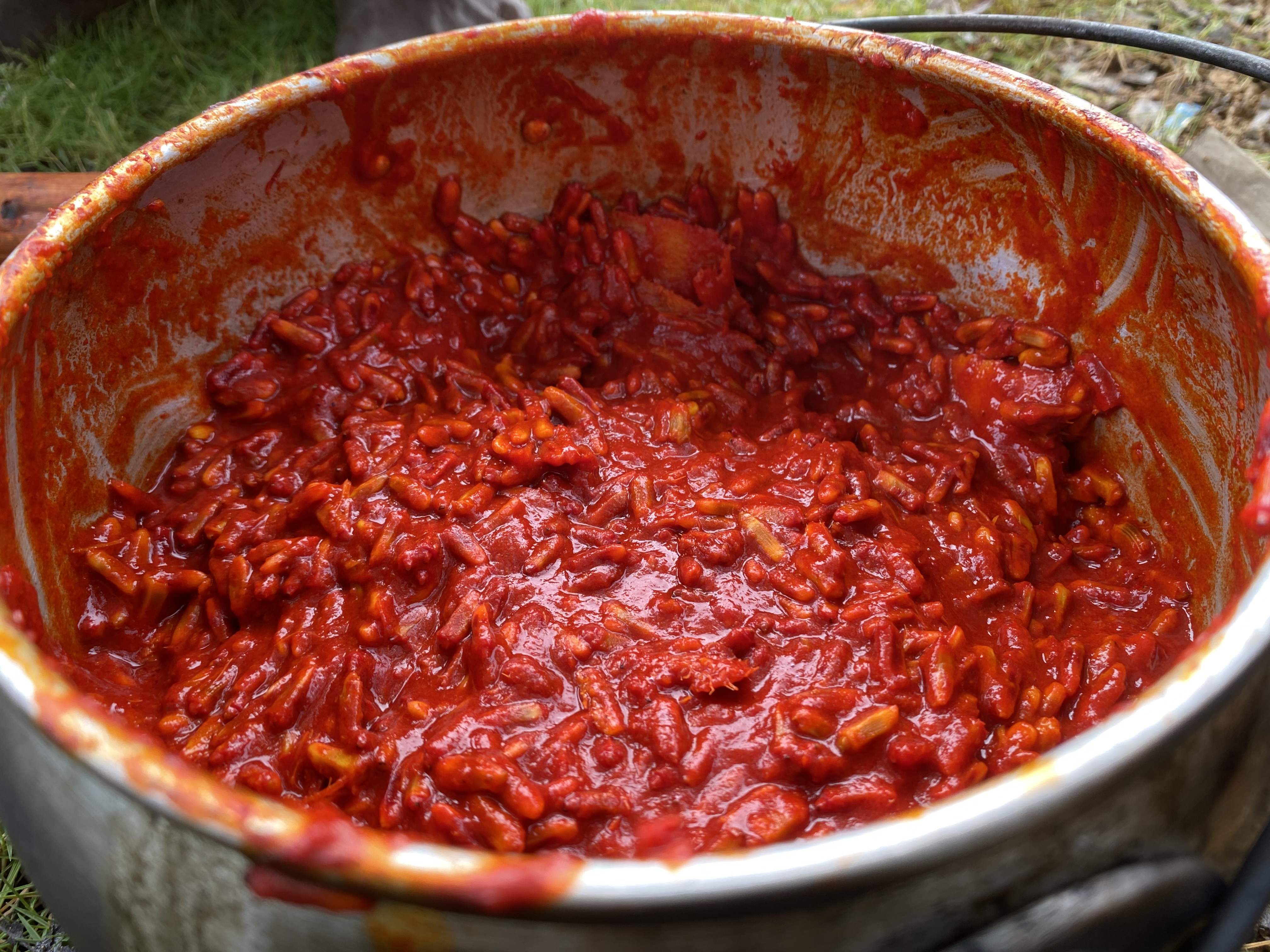Buah merah (red fruit) cooking in a large pot. The fruit is scarlet.