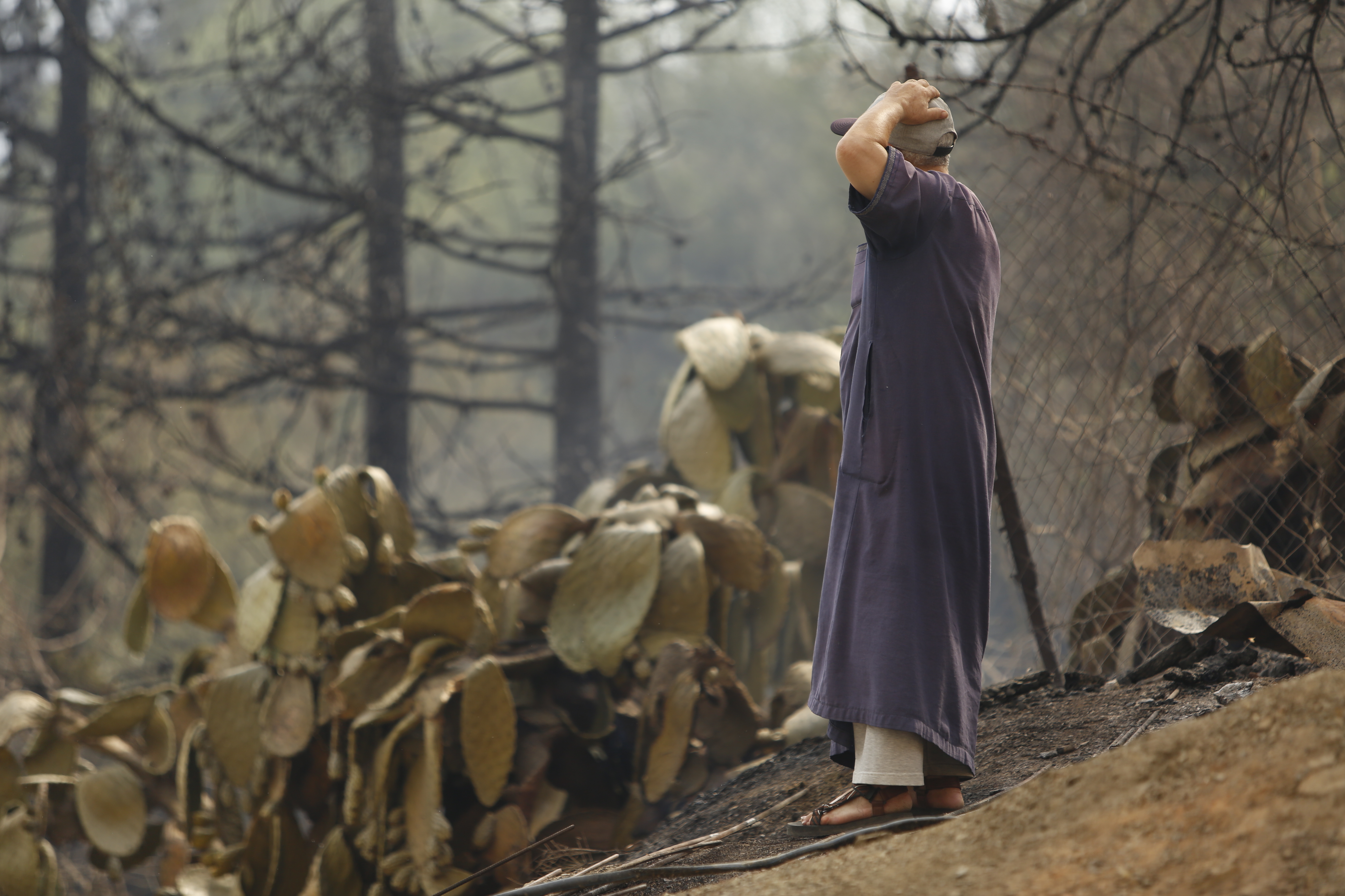 A man reacts damage after devastating forest